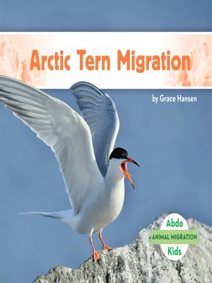 cover image of Arctic Tern Migration